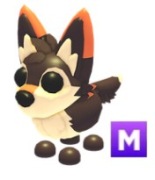 Mexican Wolf M Adopt me Roblox