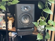 Focal Alpha EVO 50 gwarancja
