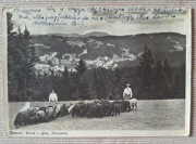 KRYNICA - WIDOK Z GÓRY KRZYŻOWEJ 