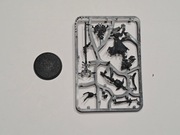 Warhammer Age of Sigmar Scinari Enlightener