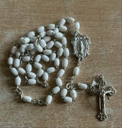 Różaniec zwykły biały