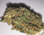 50g Super Skunk naturalny susz CBD 12.41% PROMOCJA WYPRZEDAŻ okazja 