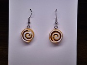 Kolczyki wiszące na biglu cynamonki z modeliny fimo 