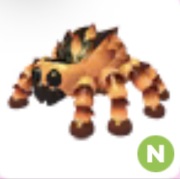 Tarantula N - Adopt Me Roblox