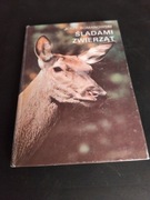 Śladami zwierząt  ,Jerzy Romanowski 