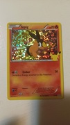 Karty Pokemon TCG (MCD25 13) Tepig (H)