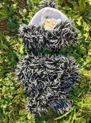 PUPILL OKAZJA,piękny i ciepły polski komplet na zime, czapka+szalik, 52-54