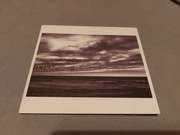 Tomahawk "Tonic Immobility"