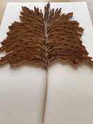 Obraz trawa pampasowa natura, klasyczny; quilling