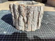 Doniczka drewniana, osłonka z naturalnej kory 11 cm, biała