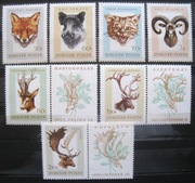 Fauna ssaki 2255 - 2261 ** 