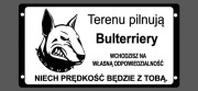 Tabliczka ostrzegawcza uwaga zły pies Bulterier