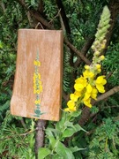 dziewanna malowana ręcznie na drewnie 