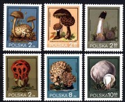 Grzyby 2545 - 2550  **