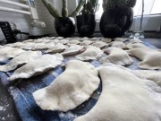 Domowe Pierogi, Uszka, Krokiety - Ręcznie Robione, Świeże, Tradycyjny Smak!