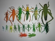 Pasikonik konik polny guma plastik 18 szt