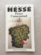 Herman Hesse - Peter Camenzind