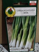 Cebula siedmiolatka "Wita"