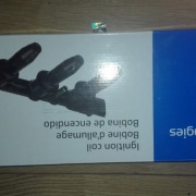 Cewka zpłonowa Delphi