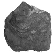 LIGNIT  DO AKWARIUM GL16