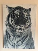 Obraz na płótnie - Tiger Blueprints 55x75