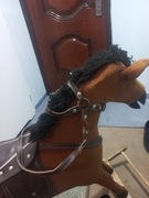 Kon na biegunach PRL