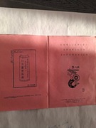 Ekslbrysy japońskie.