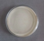 Bilownica tacka podkładka