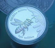 20ZŁ Pszczoła Miodna 2015 