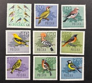 Fi 1570 - 1578 ** Ptaki leśne L985