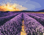 MALOWANIE PO NUMERACH Z RAMĄ  OBRAZ 40x50