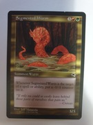 Segmented Wurm Mtg