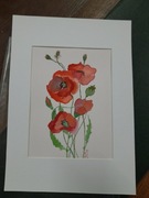 Akwarela maki białe passe-partout