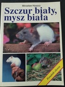 Szczur biały, mysz biała