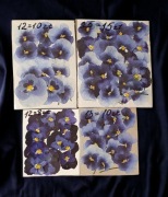 KWIATY SUSZONE NA PŁASKO 