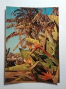 Pocztówka rośliny kwiaty strelicja - Francja Monako