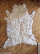 dekoracyjna skóra z renifera albionsa. 