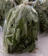 Podagrycznik suszony liść cały