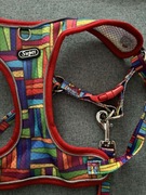 Wygodne oddychające i regulowane szelki  (klatka 44-55cm) ze smyczą