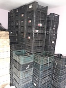 Paczki plastikowe (pojemniki) na owoce miękkie.