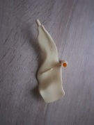  Trzustka kostek szkielet ciało człowieka National Geographic