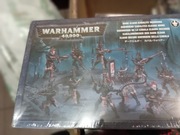 Dark Eldar Warriors