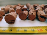 Korek do butelek (nalewki,syropy,leki) - 20 sztuk