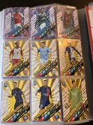 Ogromny zestaw limitowanych kart