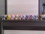 LPS Littlest pet shop destiny cat zestaw