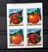 USA, 2001, Mi 3440-3441, karnecik 2x-02, czysty **
