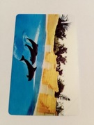 89K Delfiny.........