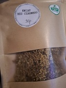 Czarny bez kwiat susz