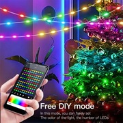 5M/10M/15M/20M RGBIC USB Sting Light Bluetooth APP DIY LED Fairy Lights 