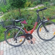 Rower Pegasus 28 cali